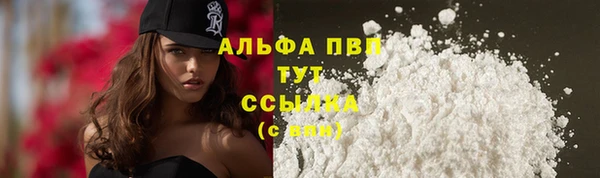 спиды Нея