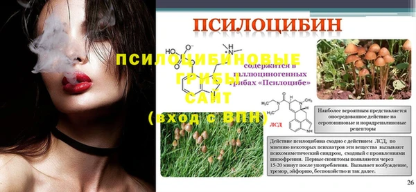 спиды Нея